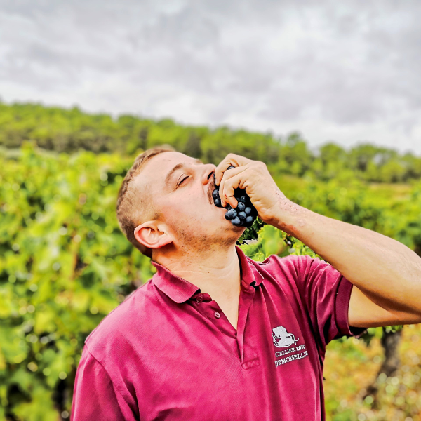 Vigneron Baptiste Cabal