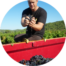 Vigneron Paul Berthier